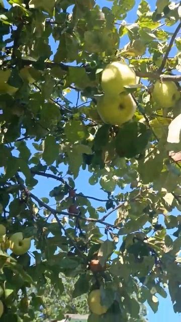 Мы дома. #тверь смотреть онлайн