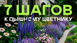 Если Многолетники Посадить Так То Цветник Будет Красив Всегда