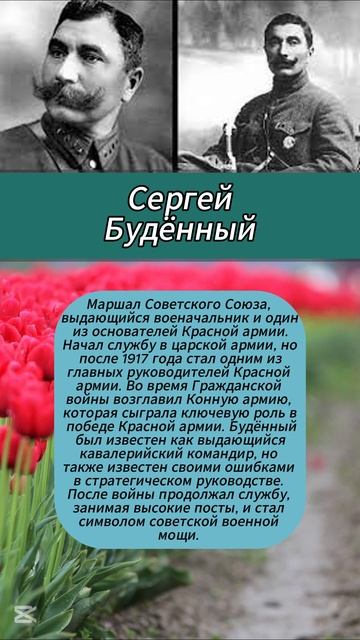 Сергей Будённый #армия #история #интересныефакты #вов смотреть онлайн
