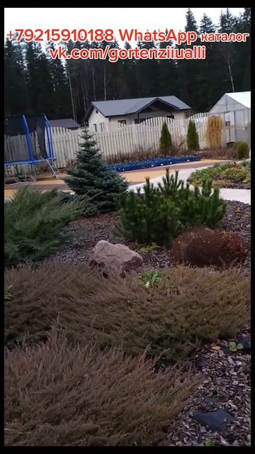 Остался последний штрих!!! 26.10.2024 #дача #сад #огород #сад? смотреть онлайн