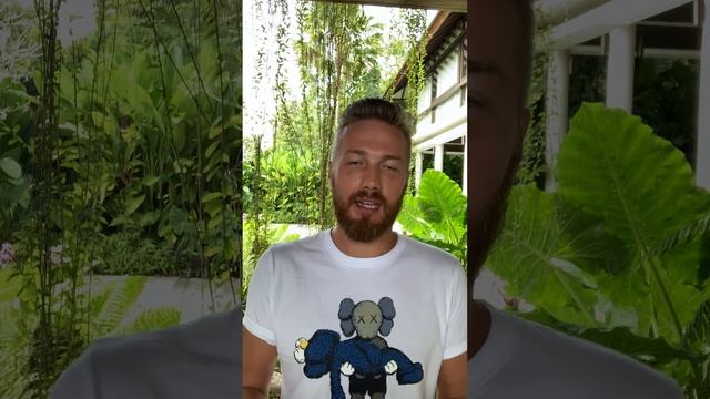 Дмитрий Миргород отзыв / от Семена