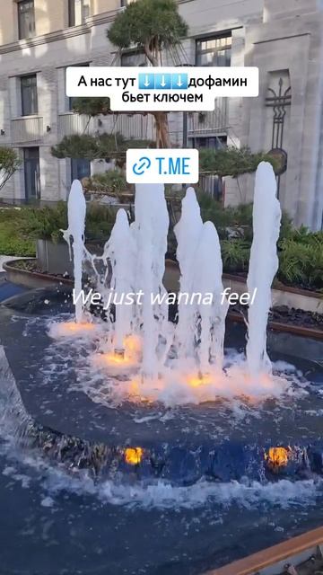 1000083526.mp4