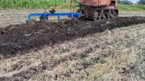 дт 75 н пашет июля 2024 г.