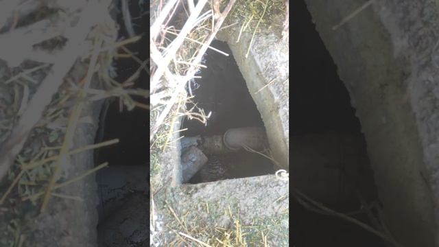 Запах в бане, как решить??? решение простое,... смотреть онлайн