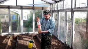 Как и чем я провожу обработку теплицы перед посадкой.