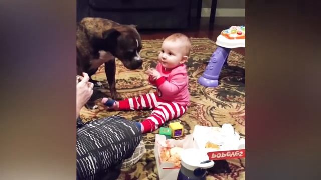 Cutest Babies Playing With Dogs Cool Peachy Детские забавные моменты смотреть онлайн