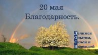 20 мая. Благодарность.
