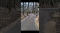 Площадка для танцев в Измайловском парке