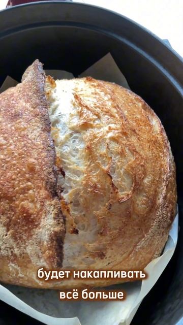 Почему хлеб на закваске кислый? #закваска #хлеб #хлебна смотреть онлайн