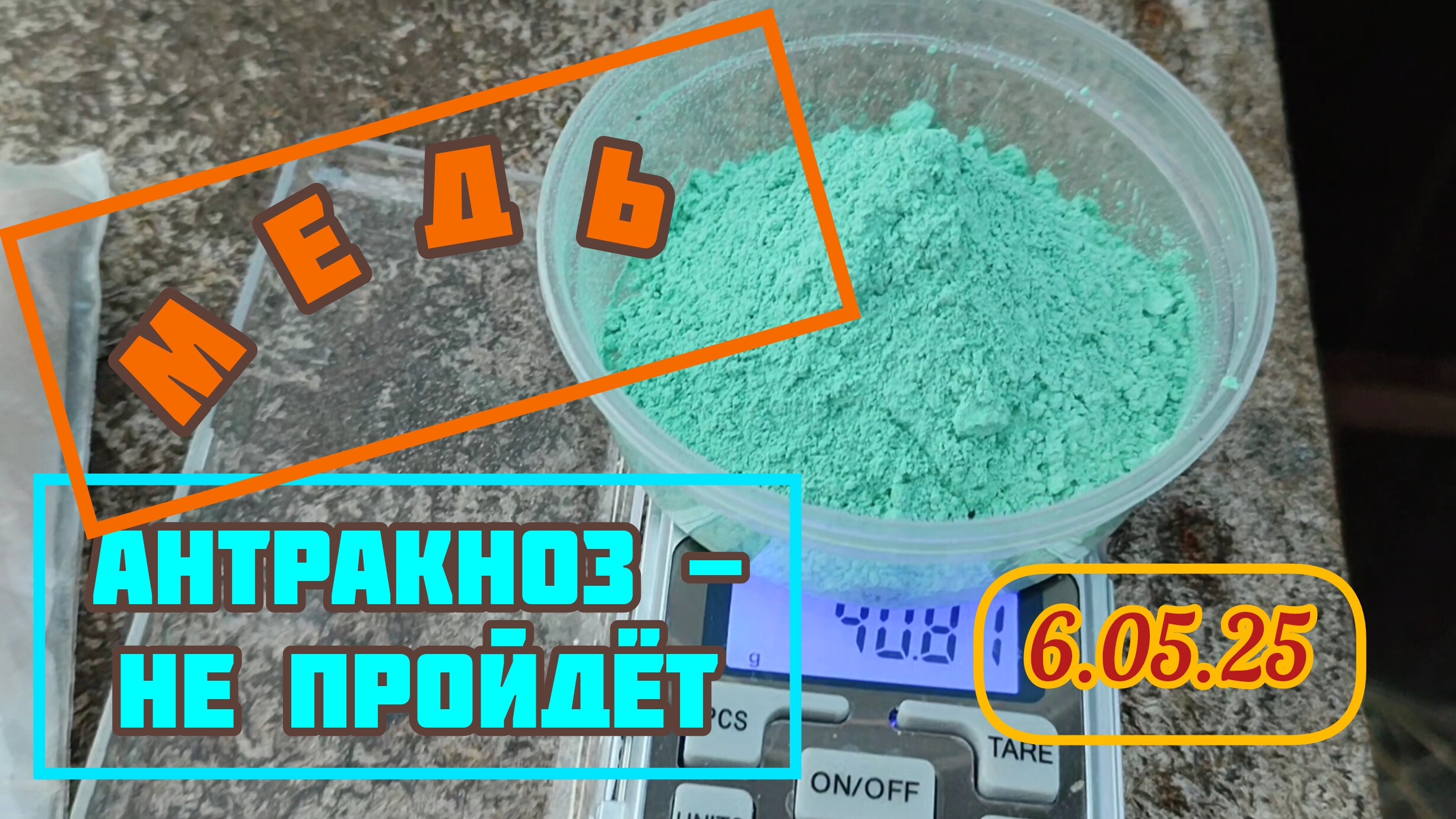 Профилактическая обработка винограда от антракноза Орданом и Антраколом. 6.05.25