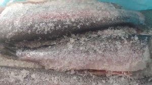 Рецепт. Вяленая красная рыба. Форель и Нерка. ФАВ Пищев