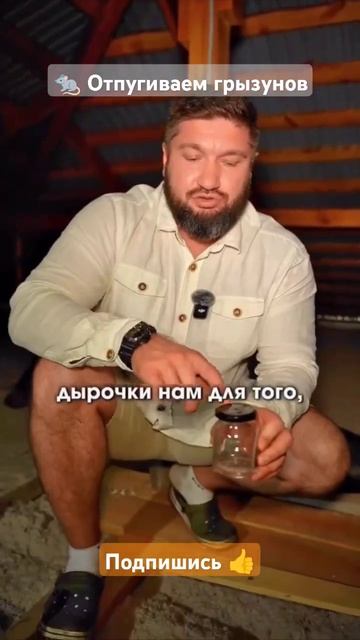 🐀 Отпугиваем грызунов #lifehacks #2024 #полезно #shorts #meme