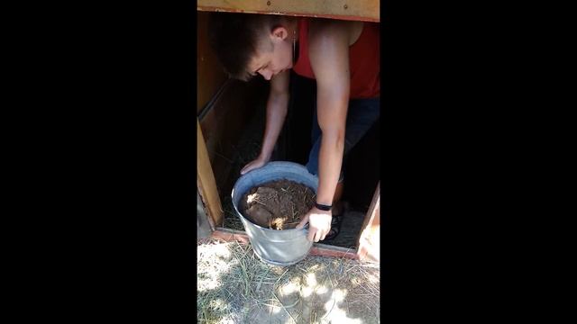 Очистка ямы. Ямное содержание кроликов. Кролик в яме. смотреть онлайн