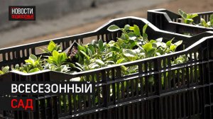 Всесезонный сад высаживают в школе в Одинцове // 360 Одинцово