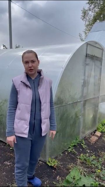 Теплицы отзывы Удачный выбор смотреть онлайн