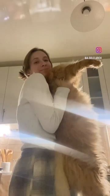 Доделываю задание по колористике 🎨 #архитектура #живопись #студенты #колористика #мгсу #темпера смотреть онлайн