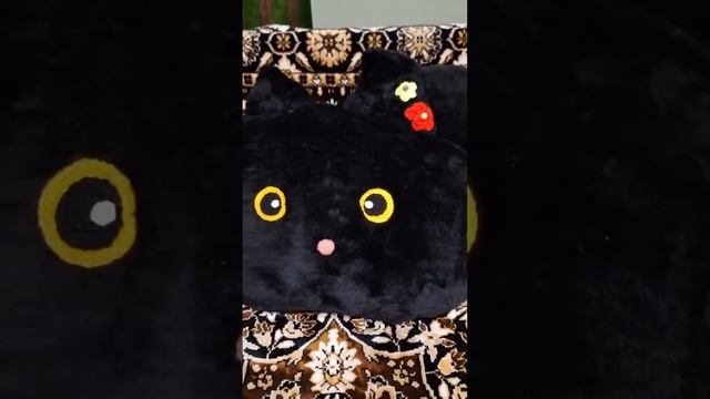 Подушка - кот своими руками😻❤️ #ульяновск #подушка #к
