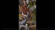Песня, которая звучит громче, когда поёшь её хриплым утром в палатке - Funhouse -- Crowander -- Upli