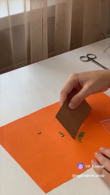 Так мы обычно фасуем голландские семена #садогород #го смотреть онлайн