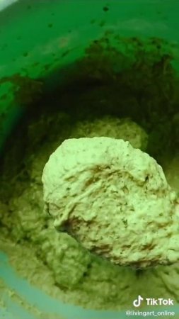 Зеленая здравница
