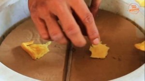 Как сделать ловушку для мышей из пластикового ведра и?