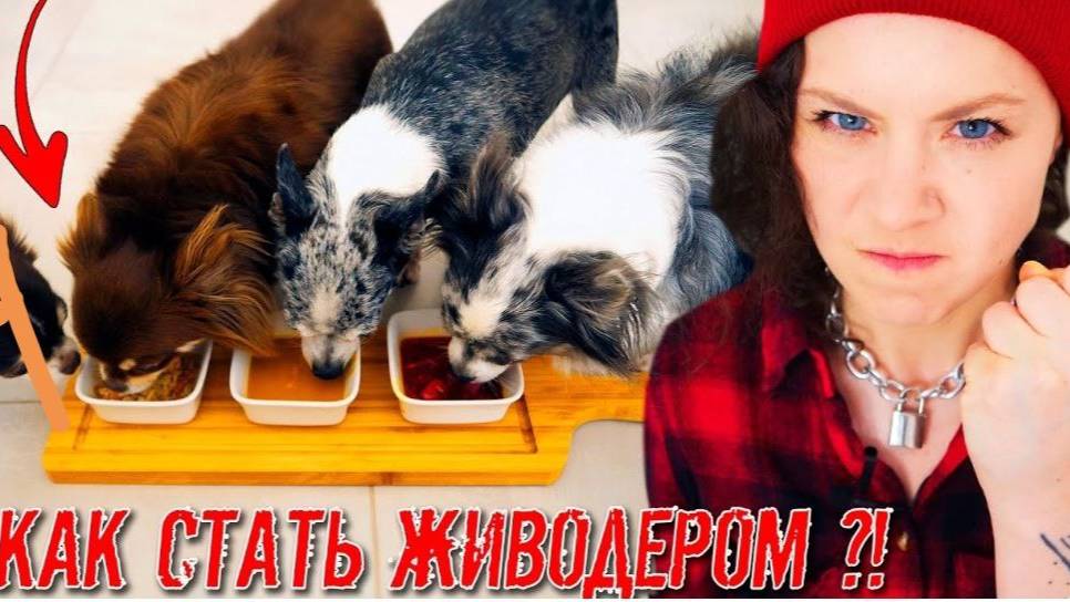 Пробую 0ТРАВИТЬ своих Собак и Кошку! Опасный Эксперимент с Питомцами и Едой