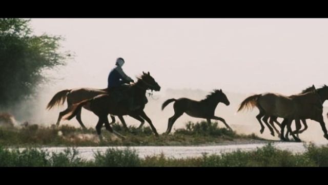 Ғарифолла Құрманғалиев - “Жылқышы” смотреть онлайн