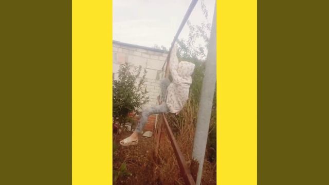 Залазию на забор 🤪что осталось от пожара ⁉️ смотреть онлайн