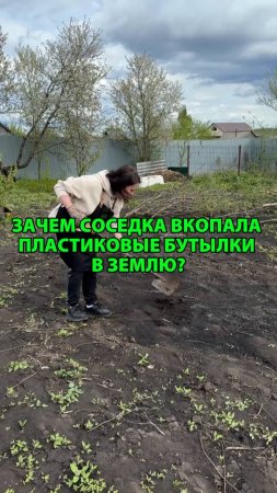Зачем соседка вкопала в землю пластиковые бутылки