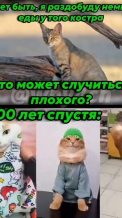 scene_output.mp4
