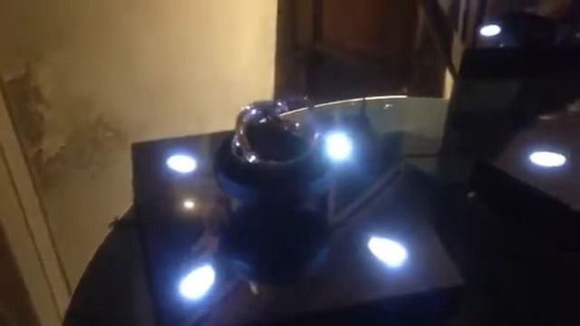 ужин от ювелирного дома