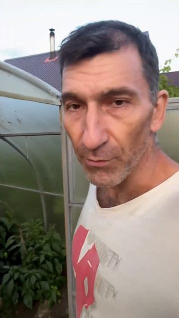Вот когда надо закрывать теплицу 👍