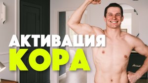 Упражнения на кор для новичков: без планки и скручиваний. Простой комплекс на пресс