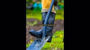 Подготовка грядок осенью: перекопка и удаление сорняк