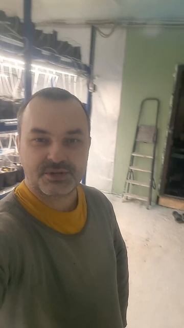 Высадка клубники 1 февраля в Сибири #сад #дача #новости смотреть онлайн