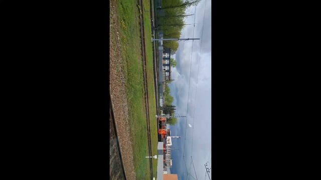 из Ленинграда в Москву на Сапсане