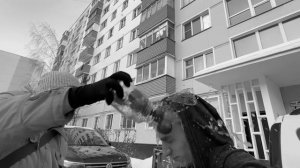 ЗЛАЯ БАБКА НАПАДАЕТ на ШКОЛЬНИКОВ!