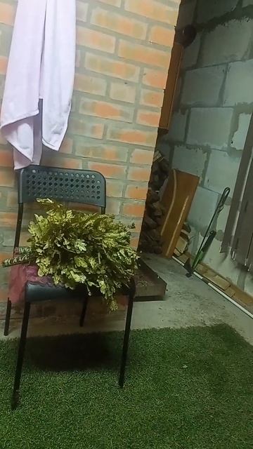 Разговоры в бане, рассказ про веники ( Conversations in the bathhouse смотреть онлайн