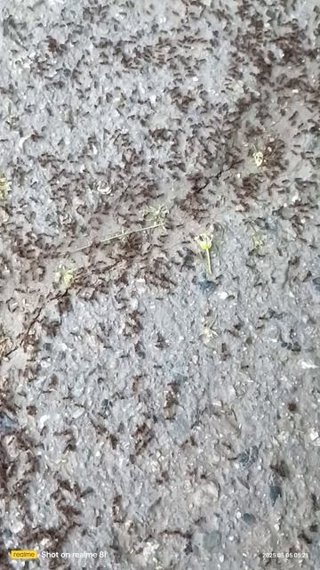 1000002473.mp4