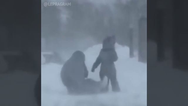 Подпишись, чтобы не потерять!