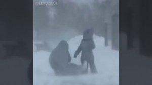 Подпишись, чтобы не потерять!