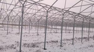 ВОЗВЕДЕНИЕ ТЕПЛИЧНОГО КОМПЛЕКСА ЗИМОЙ