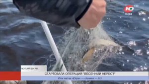 Внимание, рыболовы Югры!