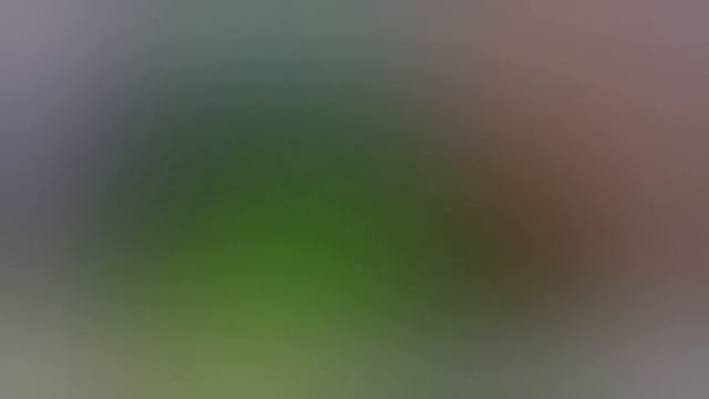 29 ИЮЛЯ! КАК ПРОЙТИ МИНИ ИГРУ в HAMSTER KOMBAT И ПОЛУЧИТЬ КЛЮЧ | MINI GAME ХАМСТЕР КОМБАТ смотреть онлайн