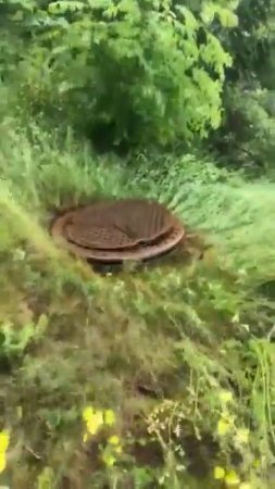 VID-20250507-WA1281