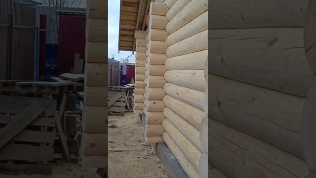 Профессиональная шлифовка сруба город Иваново