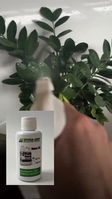 23 февраля 2025 г. смотреть онлайн