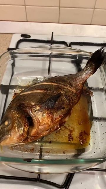 Запекла в духовке Дорадо #едимдома #🐠 #videoshorts смотреть онлайн