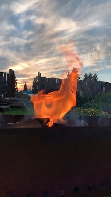 Ждем шашлык #bbq #шашлык