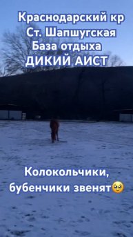 #отдых #горы #баня #путешествия #беседка